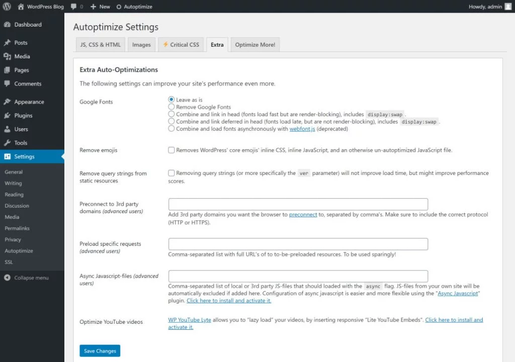 autoptimize settings extra