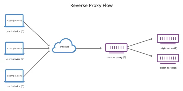 reverse proxy flow